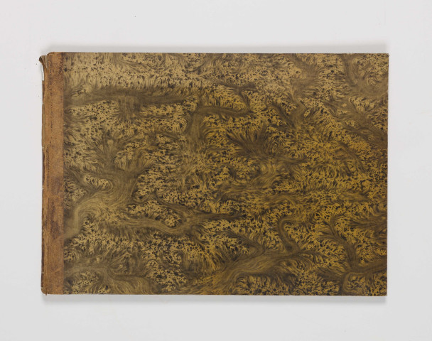 Campagne pittoresque du Luxor [planches]