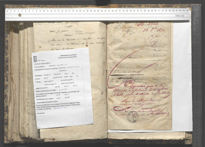 Les premières et les dernières amours