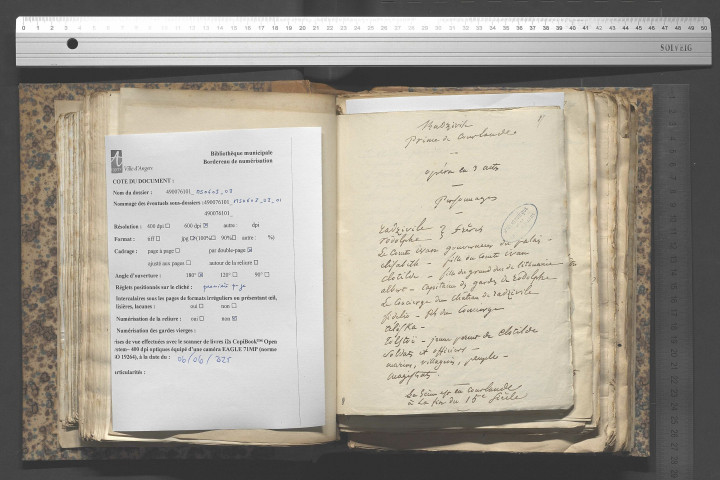 Radzivile prince de Courlande