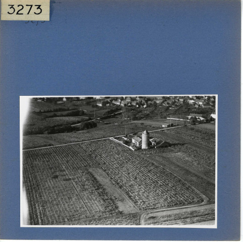 Beaulieu-sur-Layon : Vignoble, vue aérienne