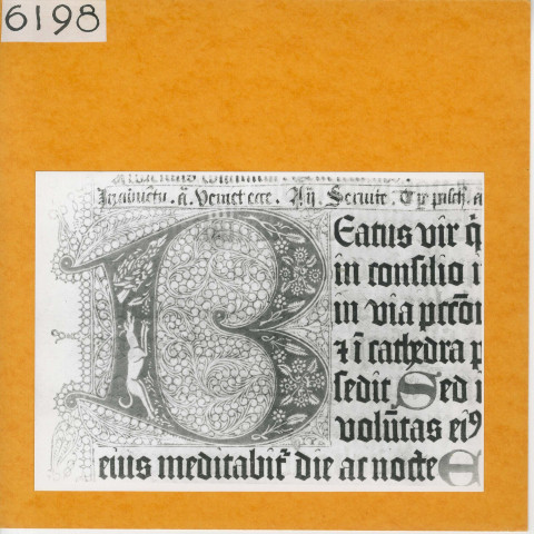 Angers : Fonds précieux bibliothèque