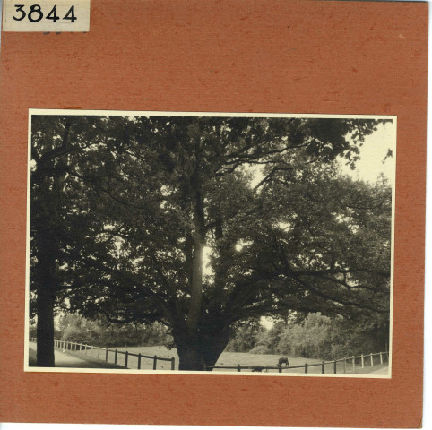 Savennières : Château La Bizolière