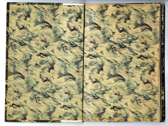 L'Oeuvre pictural de Merodack-Jeaneau