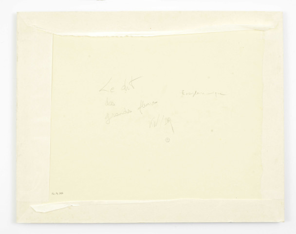 Le dit des grands fleuves