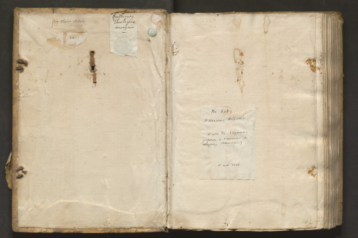 Traité anonyme de théologie. « Queritur utrum theologia sit scientia... »