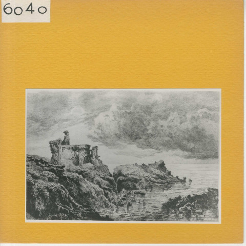 Ile d'Yeu : Vue générale