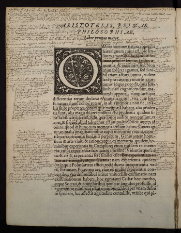 Aristotelis Stagiritae de prima philosophia seu metaphysica libri XII. Joanne Argyropylo Bysantio interprete :