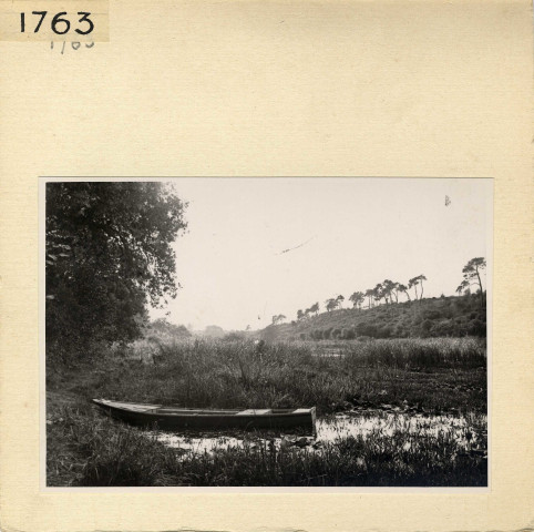 Angers : Parc de La Haye, étang Saint-Nicolas