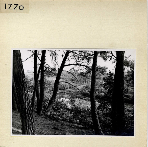 Angers : Parc de La Haye