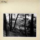 Angers : Parc de La Haye