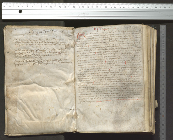 « Incipit prologus libri qui dicitur Stimulus amoris, quem compilavit frater Bonaventura, ordinis Minorum, magister in theologia, episcopus cardinalis. Liber iste qui Stimulus amoris... Expliciunt meditaciones cujusdem simplicis cordati et pauperculi discalciati et contemptibilis denudati, sapientissimorum rudissimi, electorum infimi et Minorum minimi, fratris Bonnaventure. Deo gratias. Amen »