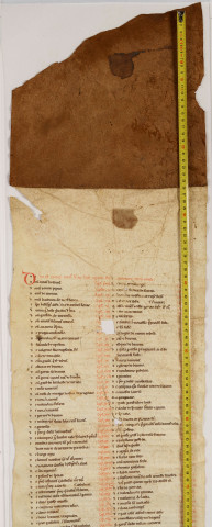 Cartulaire de l'abbaye de Notre-Dame du Ronceray, en six rouleaux opisthographes. « Tercius rotulus » : longueur 5,748 m. Cent chartes, table en tête ; le début est un peu endommagé.