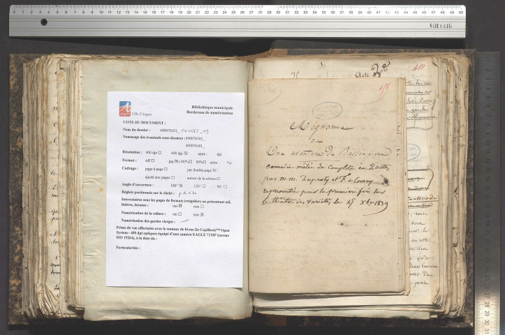 Mignonne, ou Une aventure de Bassompierre