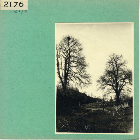 Angers : Parc de La Haye (ancien)