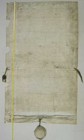 Charte de fondation de la mairie donnée par Louis XI, contenant les coutumes et privilèges accordés à la communauté d'Angers. Paris, février 1474 (a. st.).