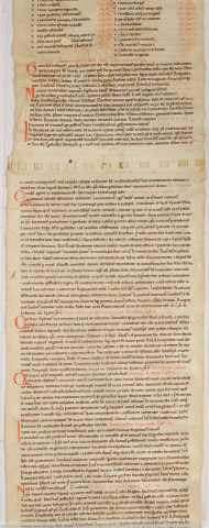 Cartulaire de l'abbaye de Notre-Dame du Ronceray, en six rouleaux opisthographes. « Tercius rotulus » : longueur 5,748 m. Cent chartes, table en tête ; le début est un peu endommagé.