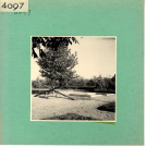 Beaulieu-sur-Layon : Jardin public