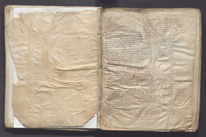 « In nomine Dei patris et filii et spiritus sancti. Incipiunt in expositione beati Job Moralia Gregorii, papae urbis Rome, per contemplationem libri sex. Incipit liber decimus septimus... Explicit liber vicesimus quintus »