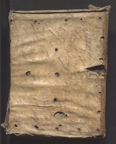 De Genesi ad litteram libri XII. « Omnis creatura bipertita est... »