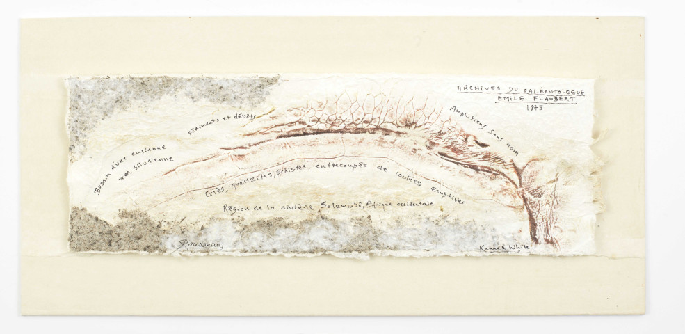 Archives du paléontologue Émile Flaubert, 1878