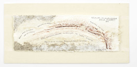 Archives du paléontologue Émile Flaubert, 1878