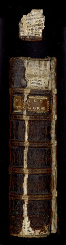 Novum Testamentum graece