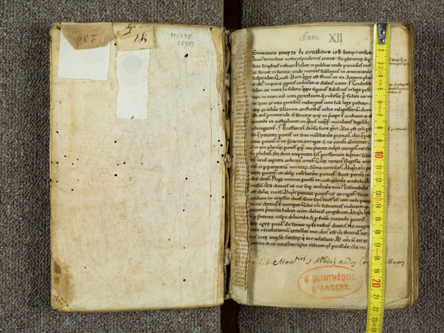 « Sentencie excepte, de Moralibus Job, bone et utiles. Divinus sermo, sicut misteriis prudentes exercet... »