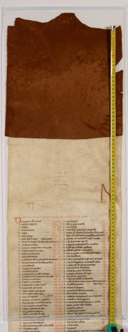 Cartulaire de l'abbaye de Notre-Dame du Ronceray, en six rouleaux opisthographes. « Quartus rotulus » : longueur 4,483 m. Cent chartes, table en tête.