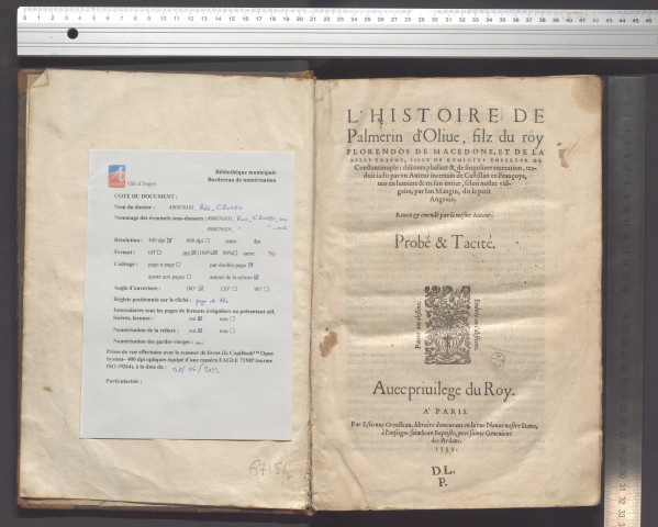 L'histoire de Palmerin d'Olive, fils du roy Florendos de Macedone, et de la belle Griane, fille de Remicius empereur de Constantinople : discours plaisant & de singulière récréation, traduit jadis par un Auteur incertain de Castillan en Françoys, mis en lumière & en son entier, selon nostre vulgaire par Jan Maugin, dit le Petit Angevin. Reveu & emendé par le mesme auteur...