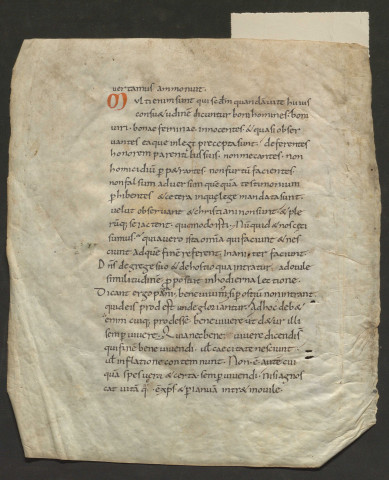 Fragment d'un commentaire sur l'Evangile (Xe siècle environ)