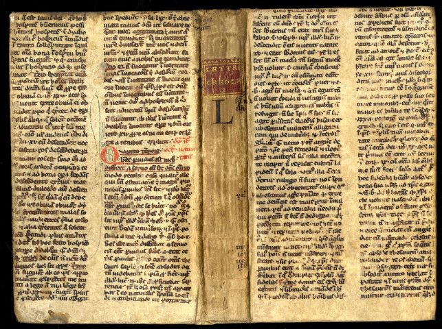 Fragment du sermon dominical XIV