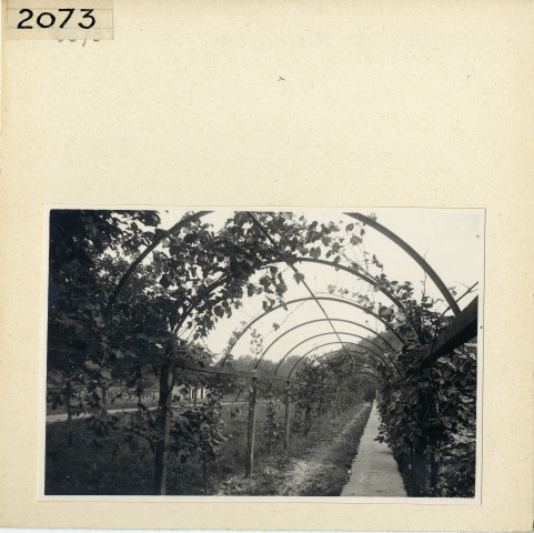 Angers : Esvière (Vieil Angers)