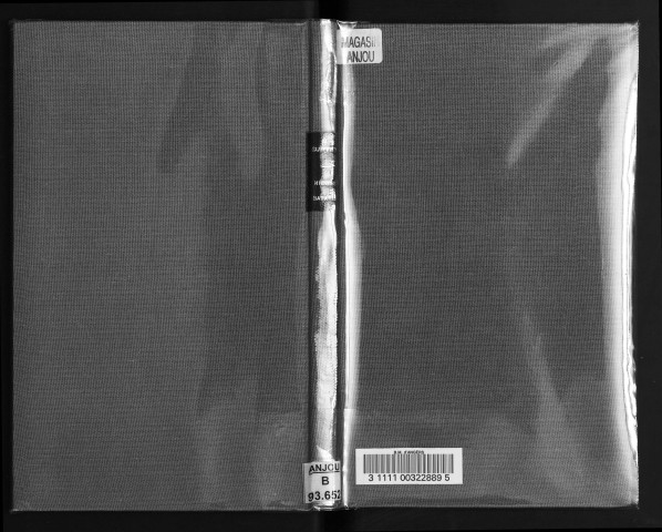 Nicolas Bataille, tapissier parisien du XIVè siècle, auteur de la tapisserie de l'Apocalypse d'Angers