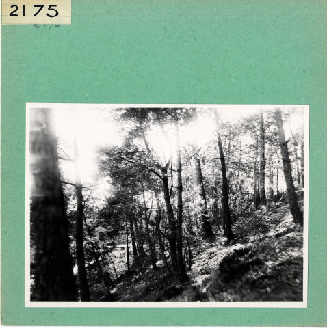 Angers : Parc de La Haye (ancien)