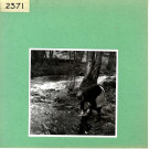 Tiffauges : Vieux pont sur la Sèvre nantaise