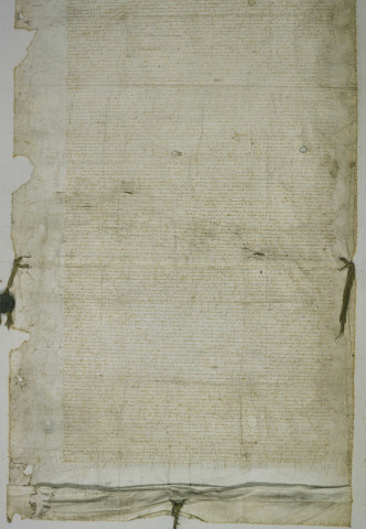 Charte de fondation de la mairie donnée par Louis XI, contenant les coutumes et privilèges accordés à la communauté d'Angers. Paris, février 1474 (a. st.).