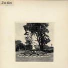 Angers : Jardin du Mail