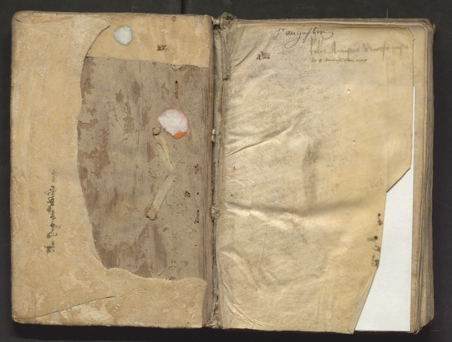 « Augustinus de diversis causis. Omne verum a veritate verum est... »