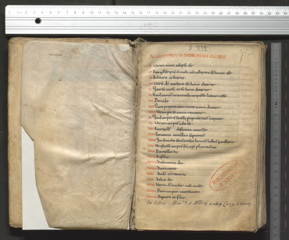 « Augustinus de diversis causis. Omne verum a veritate verum est... »