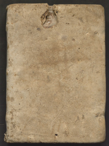 « Incipit liber de secretis mulierum, editus ab Alberto Magno, doctissimo philosopho, de ordine fratrum Predicatorum. Dilecto sibi in Christo socio ac amico et clerico de tali loco, E. scolaris talis loci. Vere sapiencie et illius... »