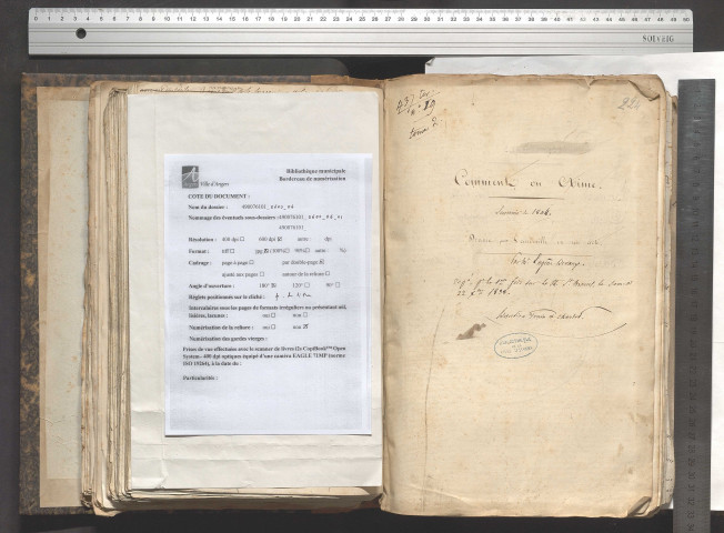 L'orangerie de Versailles