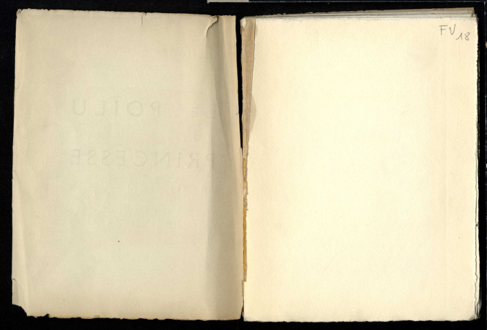 Le Poilu et la princesse