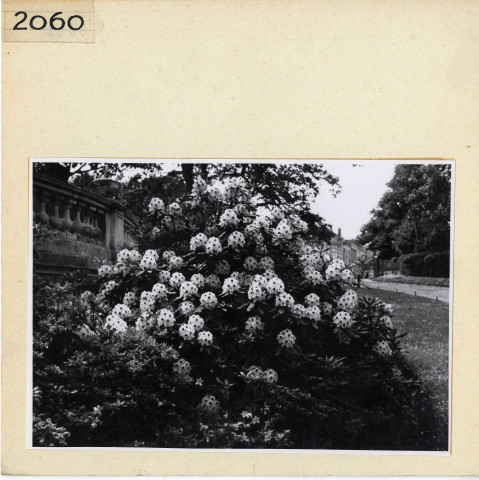 Angers : Jardin des Plantes