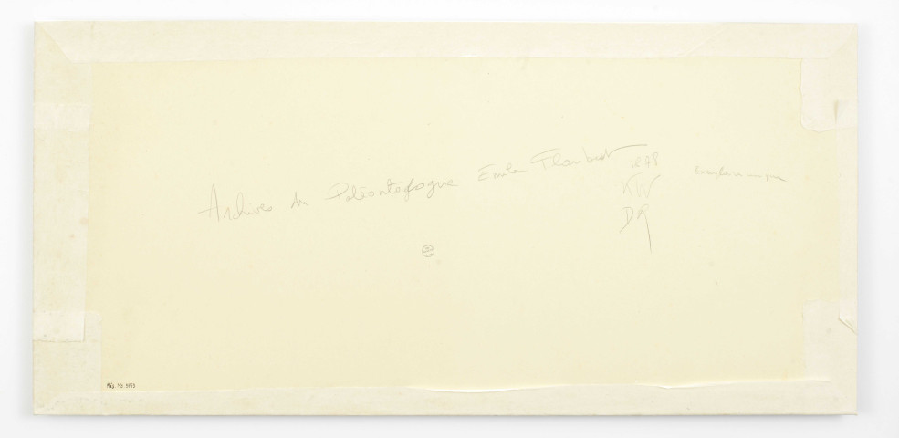 Archives du paléontologue Émile Flaubert, 1878