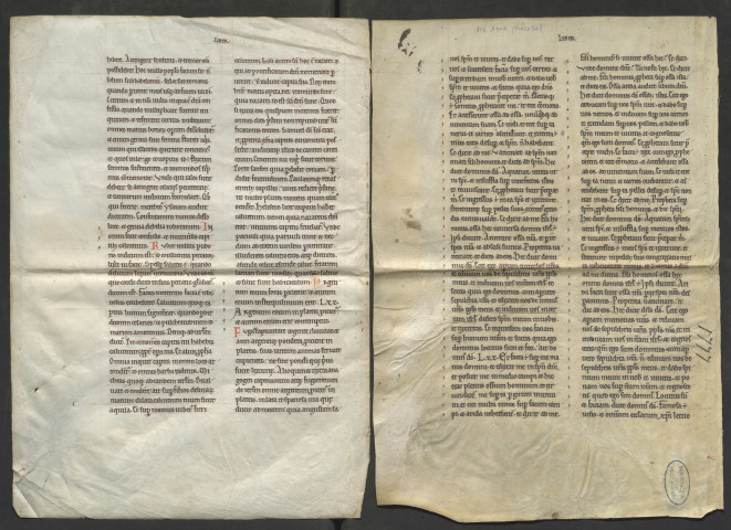 Fragment de l'Apocalypse (XIVe siècle)