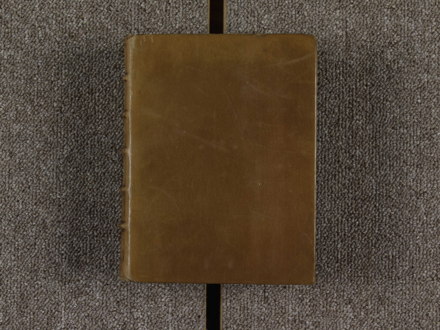 Thèmes de sermons ; Analyse de la Summa de Guillaume Péraud, "Summa de virtutibus"