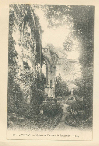 67. Angers. Ruines de l'Abbaye de Toussaints