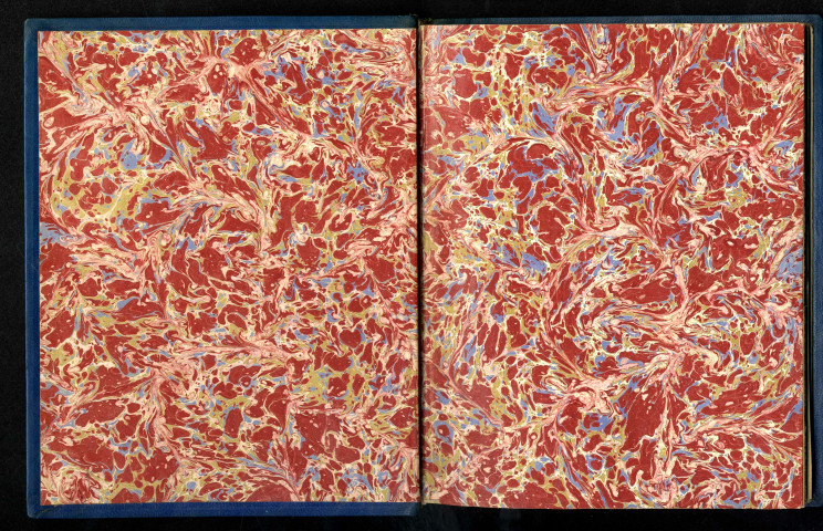 Le Poilu et la princesse