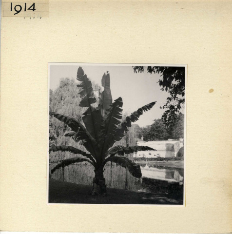 Angers : Jardin des Plantesl