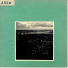 Le Thoureil : Vignoble, côteaux de la Loire (près de l'Abbaye de Saint Maur)